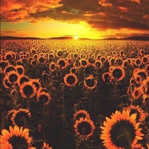 Meet your Posher, Frenchie